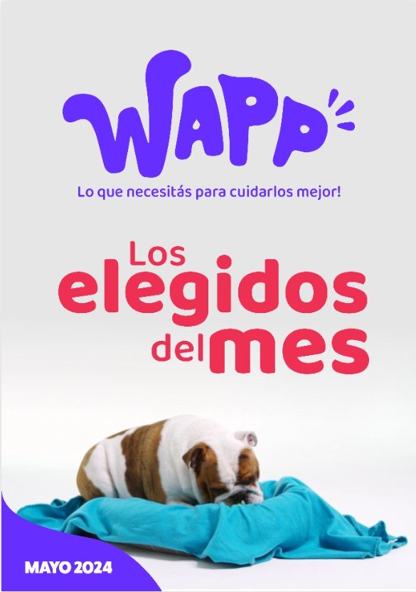 Catálogo Plus Demo Somos Wapp